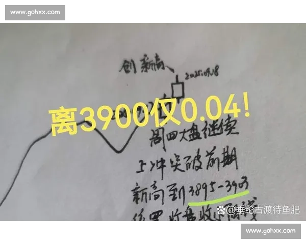 关注暴涨背后的因素及市场波动对投资者的影响分析